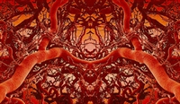 Shock waves may improve penile vasculature.
