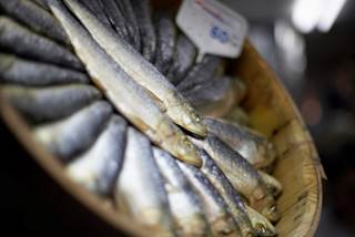 Fish are a good source of omega-3 fatty acids. Fish are a good source of omega-3 fatty acids.