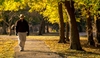 Nutrition Important for Physical Functioning in CKD Patients