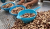 CKD Patients May Suffer from Selenium Deficiency