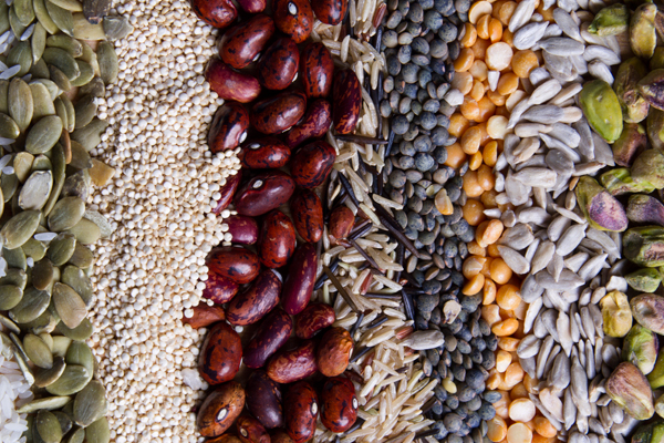 Plant-Based Diets May Need to Be Reconsidered