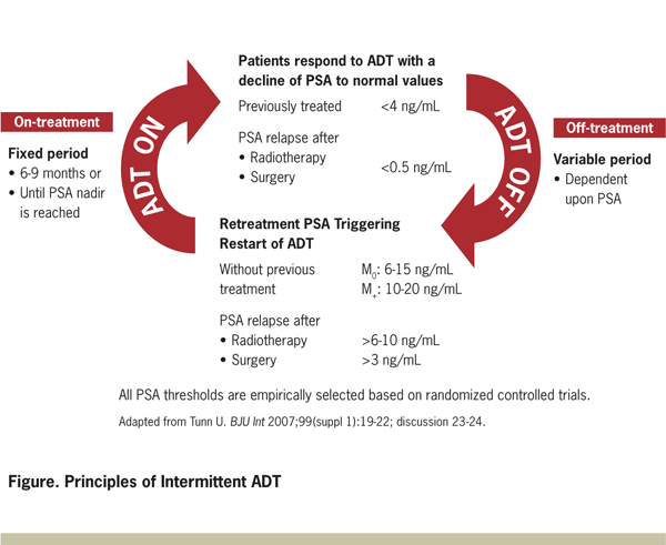 Intermittent ADT in Prostate Cancer A StepbyStep