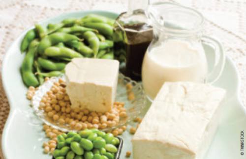 Plant Protein Intake Offers Benefits in Phosphorus, Acid-Base Balance for CKD Patients