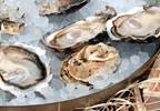 Zinc Protects Against Inflammation, Malnutrition, and Oxidative Damage Zinc Protects Against Inflammation, Malnutrition, and Oxidative Damage