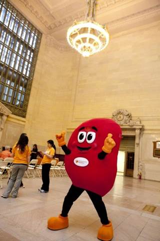 Sidney the Kidney (© National Kidney Foundation) Sidney the Kidney (© National Kidney Foundation)