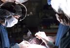 End-Stage Renal Disease (ESRD) Risk Lower with Partial Nephrectomy End-Stage Renal Disease (ESRD) Risk Lower with Partial Nephrectomy