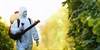 Pesticide Exposure Linked to Increased Diabetes Risk Pesticide Exposure Linked to Increased Diabetes Risk