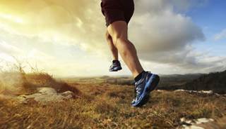 High-intensity exercise may lead to permanent structural changes in the myocardium. High-intensity exercise may lead to permanent structural changes in the myocardium.