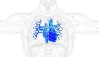 Patients with serum creatinine doubling had increased risks of heart failure, myocardial infarction, and stroke. Patients with serum creatinine doubling had increased risks of heart failure, myocardial infarction, and stroke.