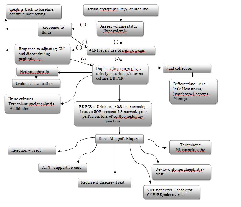 Kidney Transplantation Diagnosis and Management of Early Graft