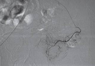 Figure 1. Figure 1.