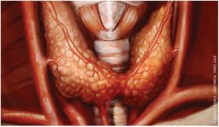 Switching from intravenous to oral alfacalcidol resulted in greater PTH suppression. Switching from intravenous to oral alfacalcidol resulted in greater PTH suppression.
