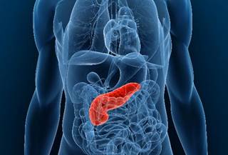 Researchers compared the novel iron-based phosphate binder with sevelamer. Researchers compared the novel iron-based phosphate binder with sevelamer.