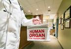 Organ Transplants Involving Overdose-Death Donors Increasing Organ Transplants Involving Overdose-Death Donors Increasing