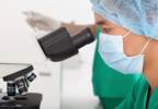 Low Peptide Levels May Explain Some Male Infertility Low Peptide Levels May Explain Some Male Infertility