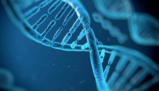 Genetic testing results could help guide therapy for advanced prostate cancer. Genetic testing results could help guide therapy for advanced prostate cancer.