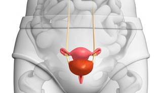 Researchers found good long-term outcomes for Laparoscopic Radical Cystectomy. Researchers found good long-term outcomes for Laparoscopic Radical Cystectomy.