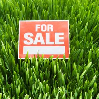 When selling your practice, don't neglect curb appeal. When selling your practice, don't neglect curb appeal.
