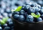 Flavonoid-Rich Foods May Lower Erectile Dysfunction Risk Flavonoid-Rich Foods May Lower Erectile Dysfunction Risk