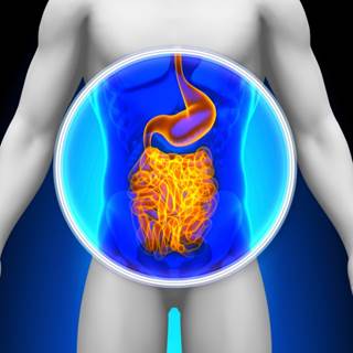 Patients in the lowest quartile of mortality risk were more likely to be screened for colon cancer than those in the highest quartile. Patients in the lowest quartile of mortality risk were more likely to be screened for colon cancer than those in the highest quartile.