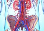 Acute Kidney Injury Risk Relatively Low After GI Surgery Acute Kidney Injury Risk Relatively Low After GI Surgery