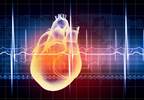 Any Renal Function Decline in Living Kidney Donors a Cardiac Risk Any Renal Function Decline in Living Kidney Donors a Cardiac Risk