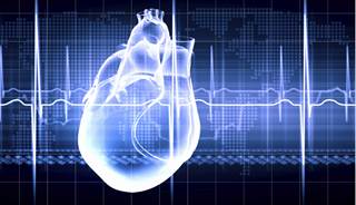 Women exposed to violence were found to have increased carotid artery intima media thickness. Women exposed to violence were found to have increased carotid artery intima media thickness.