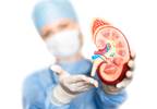 Viable Donor Kidneys May Be Discarded Based on Biopsy Viable Donor Kidneys May Be Discarded Based on Biopsy