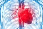 Post-Kidney Transplant Mortality Linked to Pre-Existing Heart Disease Post-Kidney Transplant Mortality Linked to Pre-Existing Heart Disease