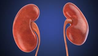 This approach is associated with lower urine output during the first 7 days of therapy. This approach is associated with lower urine output during the first 7 days of therapy.