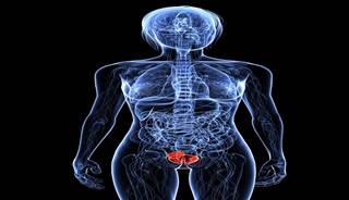 Patients with diabetes had a significant 42% increased risk of recurrence of cancer and 79% increased risk of progression. Patients with diabetes had a significant 42% increased risk of recurrence of cancer and 79% increased risk of progression.