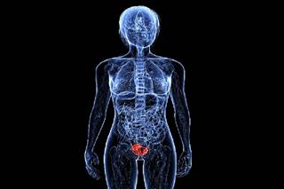 Predictors of distant recurrences after robot-assisted radical cystectomy were mainly dictated by pathological tumor characteristics. Predictors of distant recurrences after robot-assisted radical cystectomy were mainly dictated by pathological tumor characteristics.