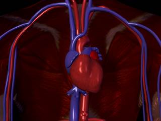 In the United States, more than 92.1 million people have cardiovascular disease. In the United States, more than 92.1 million people have cardiovascular disease.