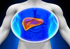 HCV Eradication May Reduce Diabetes Risk in HIV Patients HCV Eradication May Reduce Diabetes Risk in HIV Patients