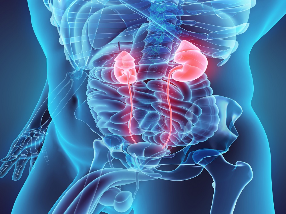 guidelines-issued-for-managing-small-renal-masses-renal-and-urology-news