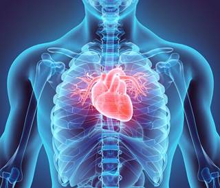 Skin sodium content related more strongly to left ventricular mass than treated blood pressure. Skin sodium content related more strongly to left ventricular mass than treated blood pressure.