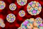Almost Half of US Adults Have HPV Almost Half of US Adults Have HPV
