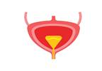 Interstitial Cystitis/Bladder Pain Syndrome Linked to EBV Interstitial Cystitis/Bladder Pain Syndrome Linked to EBV