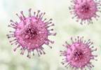 Kidney Donor-Recipient CMV Matching Is a Promising Strategy Kidney Donor-Recipient CMV Matching Is a Promising Strategy