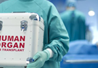 Study Identifies Possible Way to Reduce Kidney Discard Rate Study Identifies Possible Way to Reduce Kidney Discard Rate