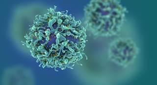 Median overall survival was 9.3 months longer for black versus white patients with metastatic castration-resistant prostate cancer. Median overall survival was 9.3 months longer for black versus white patients with metastatic castration-resistant prostate cancer.