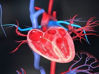 African Americans have a higher burden of sudden cardiac death than whites, especially among women. African Americans have a higher burden of sudden cardiac death than whites, especially among women.