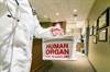 Shared Concerns Regarding Living Organ Donation in HIV Shared Concerns Regarding Living Organ Donation in HIV