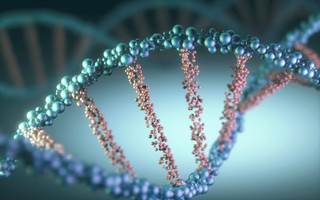 Majority of survey respondents support gene editing to treat diseases but not human enhancement. Majority of survey respondents support gene editing to treat diseases but not human enhancement.