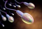Twenty-Seven Viruses Can Be Detected in Semen Twenty-Seven Viruses Can Be Detected in Semen