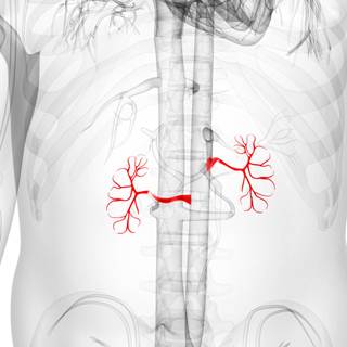 TDF + boosted protease inhibitor associated with higher CKD risk TDF + boosted protease inhibitor associated with higher CKD risk