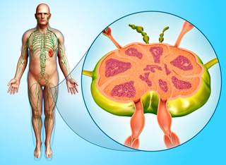 The percentage of prostate cancer patients with positive lymph nodes increased from 2.4% in 2010 to 4.7% in 2014. The percentage of prostate cancer patients with positive lymph nodes increased from 2.4% in 2010 to 4.7% in 2014.