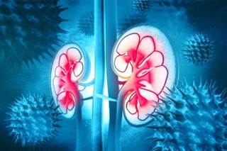 Study of patients with CKD stage 3 and asymptomatic hyperuricemia showed that febuoxostat ameliorated the annual decline in eGFR vs placebo in those without proteinuria. Study of patients with CKD stage 3 and asymptomatic hyperuricemia showed that febuoxostat ameliorated the annual decline in eGFR vs placebo in those without proteinuria.