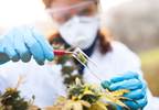 Medical Marijuana: Misconceptions and Clinical Considerations Medical Marijuana: Misconceptions and Clinical Considerations