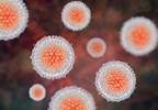 Chronic Kidney Disease Linked to Hepatitis B Chronic Kidney Disease Linked to Hepatitis B
